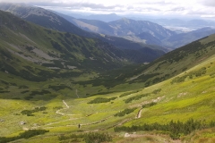 Dumbier-7