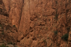smartcapture